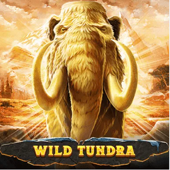 Wild Tundra